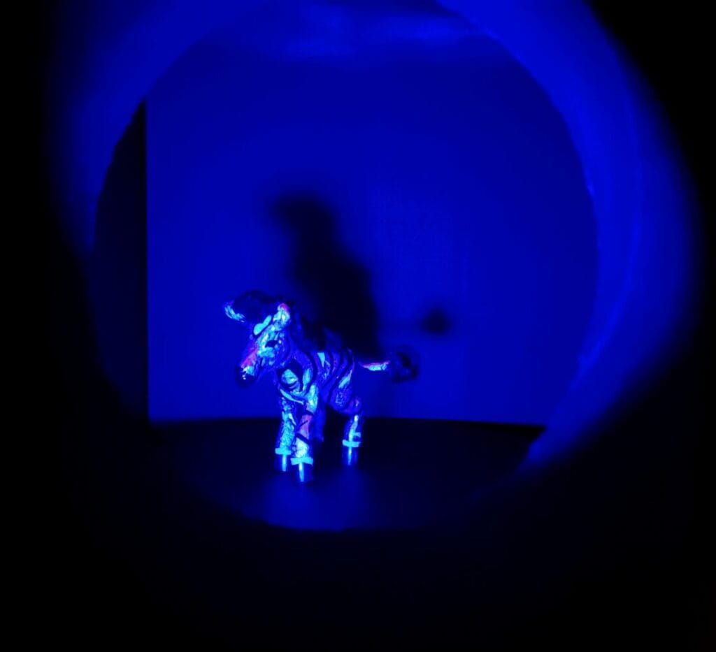 Durch ein Loch in einem Karton, ist eine Puppe von einem Mini-Zebra zu sehen.